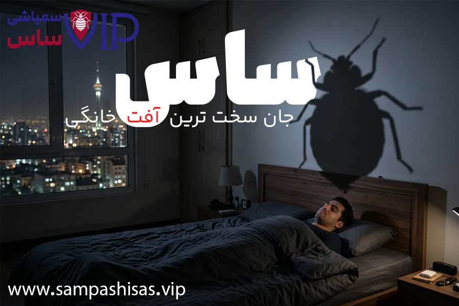 ساس تختخوابی یکی از سختترین آفات خانگی