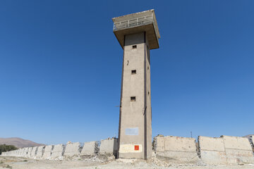 63983113