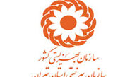وجود یک هزار و 100 سکونتگاه غیررسمی در کشور