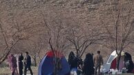 آماده‌سازی جنگل‌های شمال و جنوب اتوبان بابایی تا روز آشتی با طبیعت