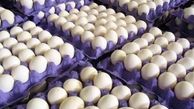 واردات تخم مرغ منطقی نیست