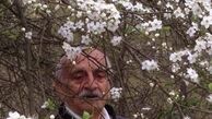 عکس شکوفه باران پدر محسن تنابنده