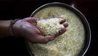  نفت در برابر برنج / درخواست خجالت آور پاکستان از ایران