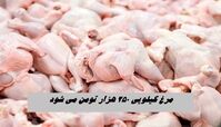 مرغ کیلویی ۲۵۰ هزار تومان می‌ شود
