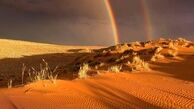 لحظه‌ای نادر در طبیعت/ عکس