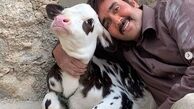 حس حیوان دوستی پوریا پورسرخ + عکس