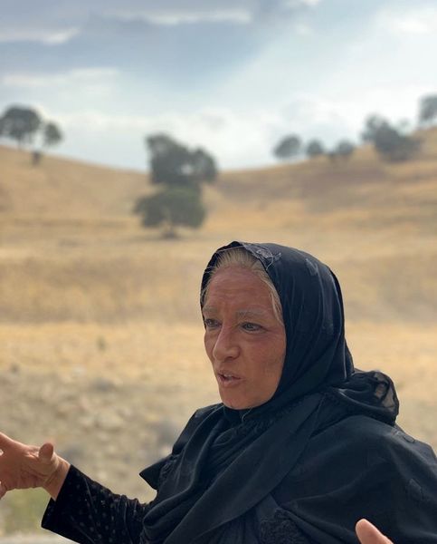 پانته آ پناهی ها پیر شده + عکس