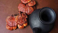 چای گانودرما وخواص شگفت انگیز آن