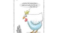 کاریکاتور:واکنش یک مرغ به وزیر کشاورزی!