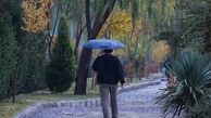 بارش باران در برخی از استان های کشور