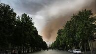 تدوین لایحه نحوه پیشگیری و مقابله با ریزگردها در پایتخت