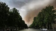 تدوین لایحه نحوه پیشگیری و مقابله با ریزگردها در پایتخت