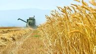 اقدام بازدارنده برای جلوگیری از کوچ روستائیان