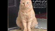 پست عجیب بازیگر سریال دلدار که سر و صدا کرد+عکس