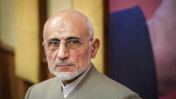 میرسلیم:رفع محرومیت فقط پخش کردن پول نیست