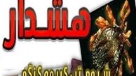 همه‌چیز درمورد تب کریمه کنگو