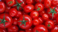علت افزایش ناگهانی قیمت گوجه فرنگی چیست