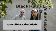 فیلم شهرام مکری به اسکار می‌رود