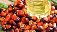 تلاش مالزیایی‌ها برای تطهیر چهره روغن پالم