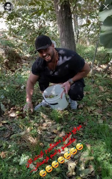 دانیال عبادی در باغ میوه + عکس