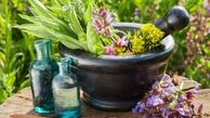 تقویت ایمنی بدن با این ۴ گیاه+ فیلم