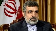 کمالوندی: پیش‌نویس همکاری با اروپا طی دو هفته آینده آماده می‌شود 