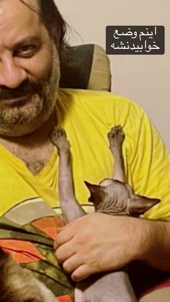 گربه خوابالو مهراب قاسم خانی + عکس