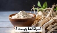 جینسینگ هندی یا آشواگاندا چیست و چه خواصی برای بدن دارد ؟