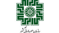توضیح تقوی نژاد درباره پرداخت مالیات ستاد اجرایی