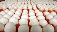 قیمت هر شانه تخم مرغ در بازار