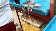 لقمه هایی که با سلامت جان بازی می کند