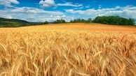 طرح قرارداد مزرعه مزیت های فراوانی دارد