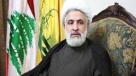 آمریکا حامی جنایات سعودی ها در یمن است
