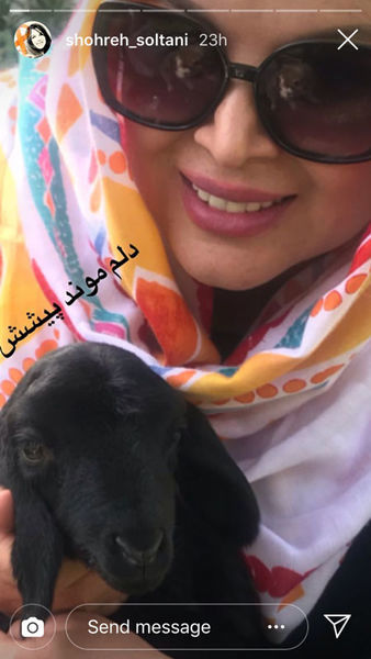 شهره سلطانی با بره زیبا + عکس