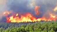 آتش سوزی جنگل ها و مراتع 60 درصد کاهش یافت