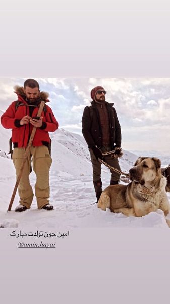 حامد کمیلی و امین حیایی در کوهستان برفی + عکس