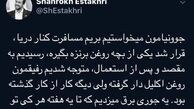 داستان بانمک برنزه کردن شاهرخ استخری
