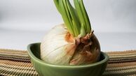 سیر و پیاز جوانه زده سرطان زا هستند ؟ بهترین روش نگهداری