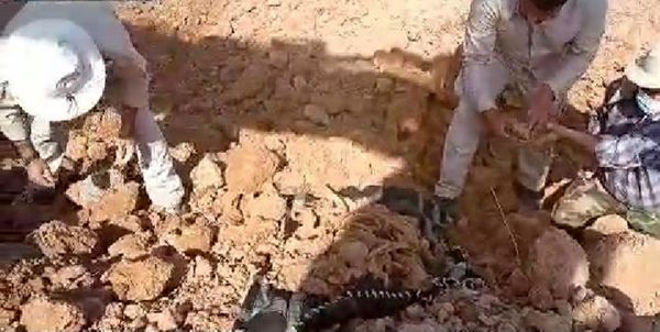  کشف پیکر شهید با پای بسته + فیلم