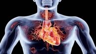 پاکسازی معده با این گیاه معجزه آسا