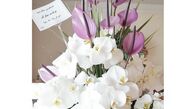 هدیه پسر رضا قوچان نژاد برای خانم بازیگر+عکس