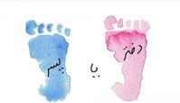 تعیین جنسیت جنین به سبک ابن سینا