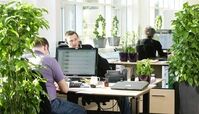 تاثیر گل و گیاه در افزایش بازدهی فعالیت در محیط کاری