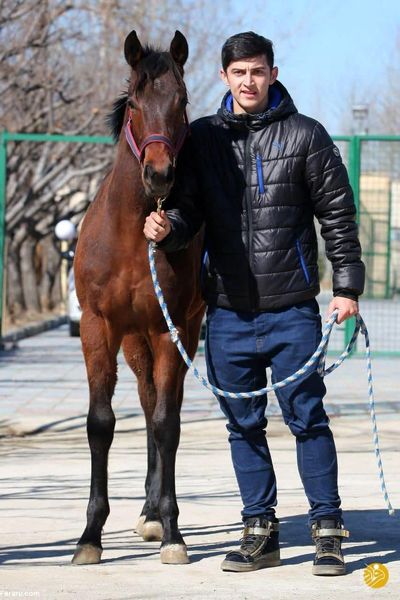 اسب جدید و میلیاردی سردار آزمون +عکس