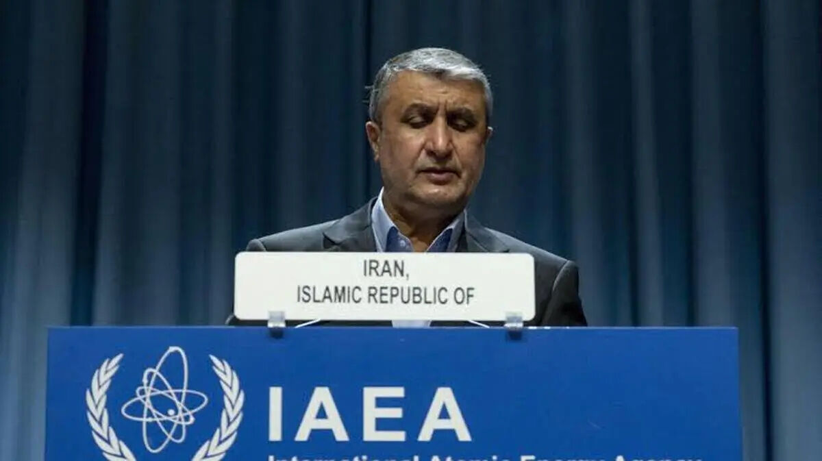 ممانعت از حضور رئیس سازمان انرژی اتمی ایران در کنفرانس عمومی آژانس بین&zwnj;المللی انرژی اتمی
