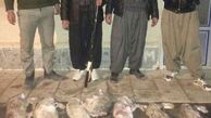 29 نفر به اتهام شکار در مهریز دادگاهی شدند
