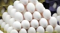 روزانه 140 تن تخم مرغ دولتی در پایتخت عرضه می‌شود