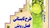 طرح تابستانی فصل رویش در گیلان اجرا می شود