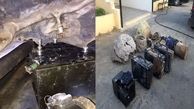 کشف دستگاه جاسوسی صهیونیست ها درکوه
