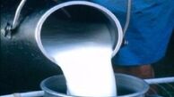 واکنش حجتی به واردات شیرخشک برای تولید شیر